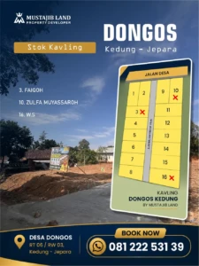 DONGOS web