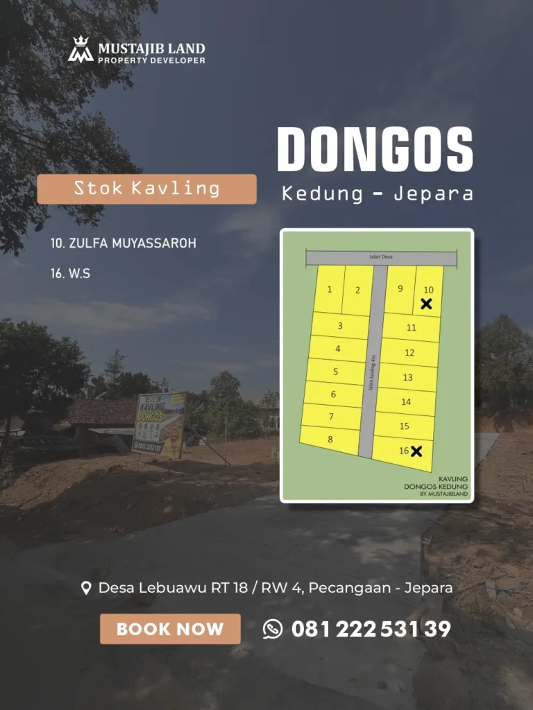 stok dongos stok dongos